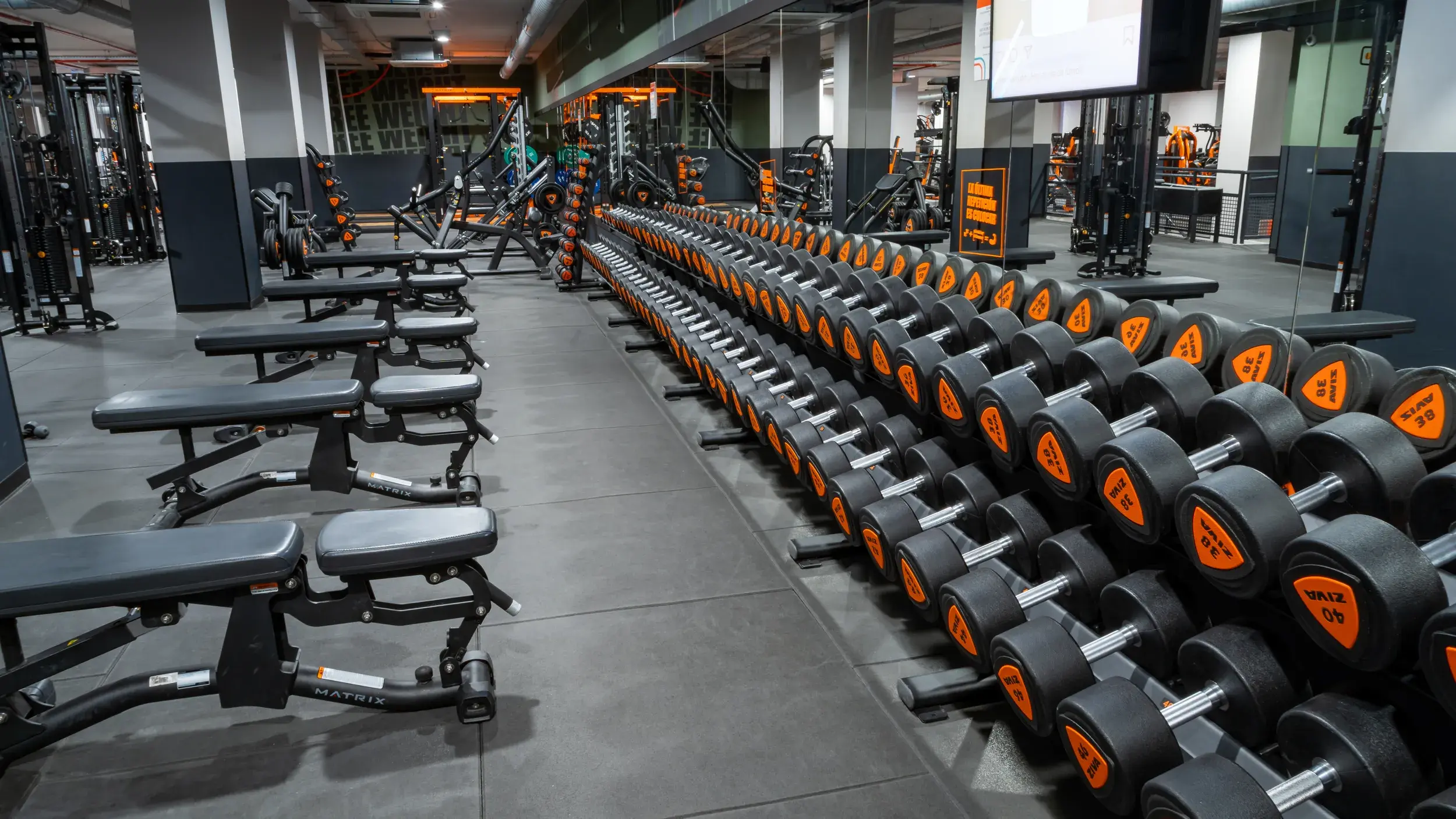 Galería de imágenes