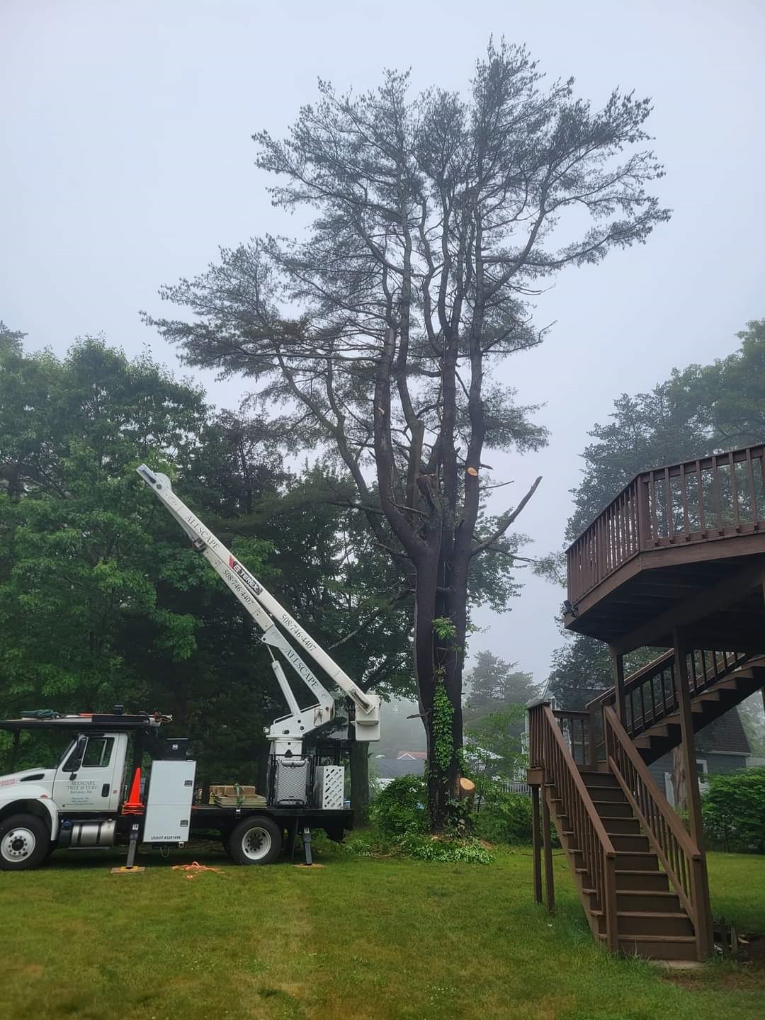 Allscape Tree & Turf Services, Inc. Image