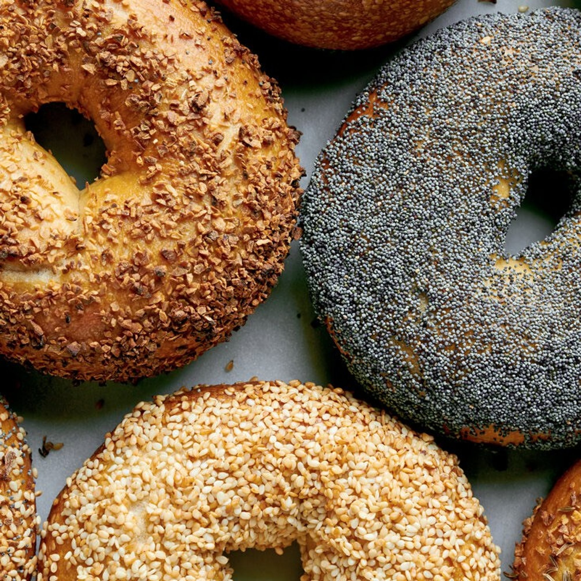 Bagel (Single)