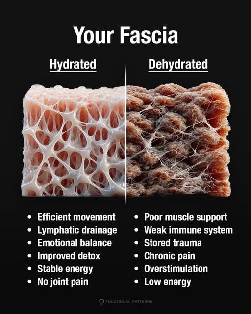 Life Rx - PhysioMassage Therapy (Medical Massage)
