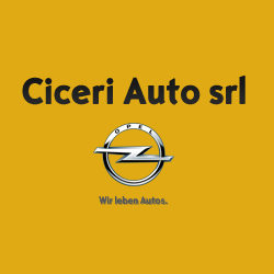 Logo di CICERI AUTO