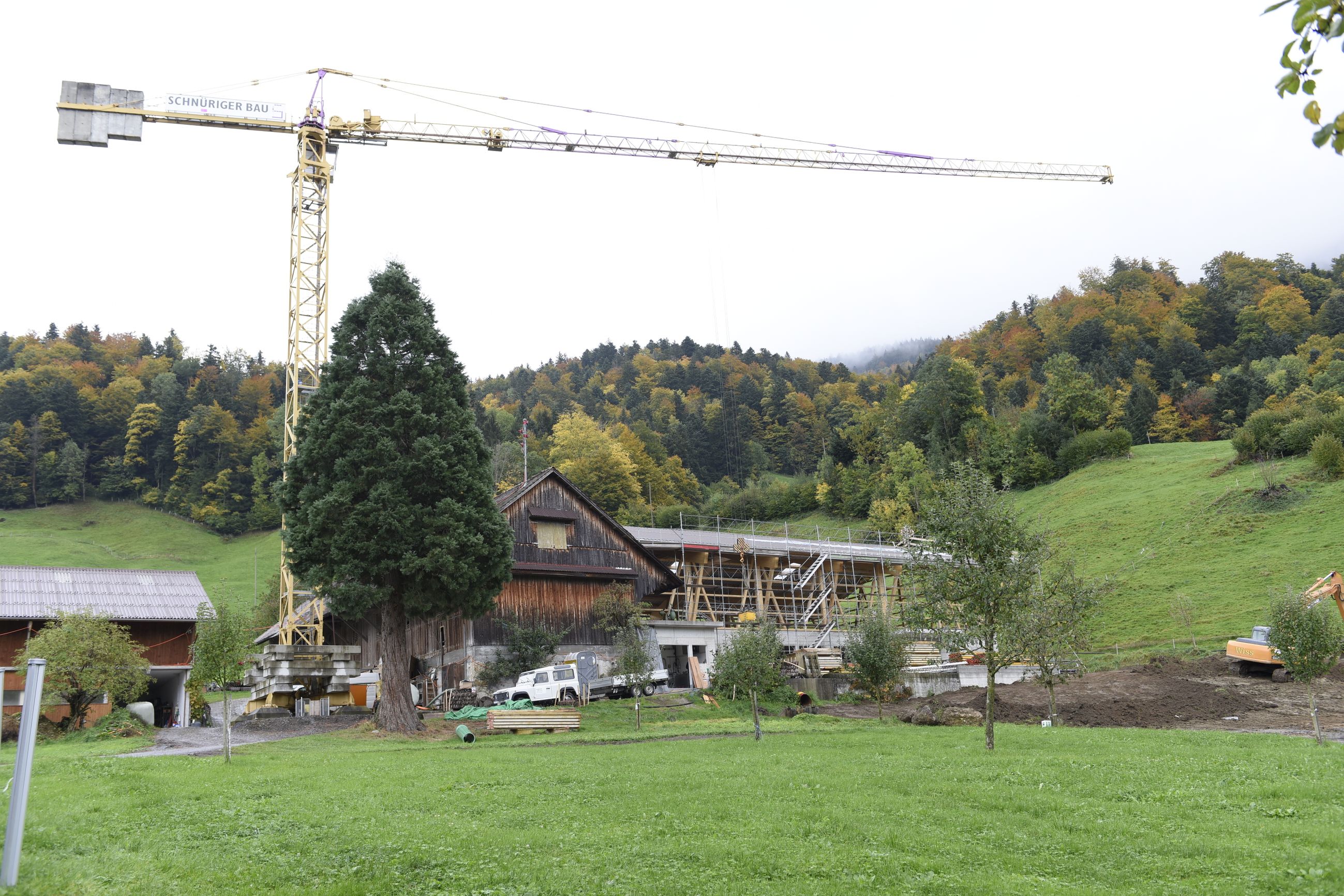 Galerie-Thumbnail