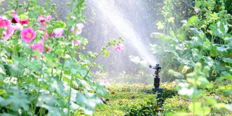 How to Select the Right Backflow Preventer for Your Irrigation System