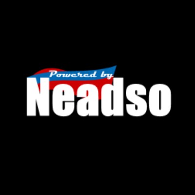 Northeast Advertising Solutions Logo