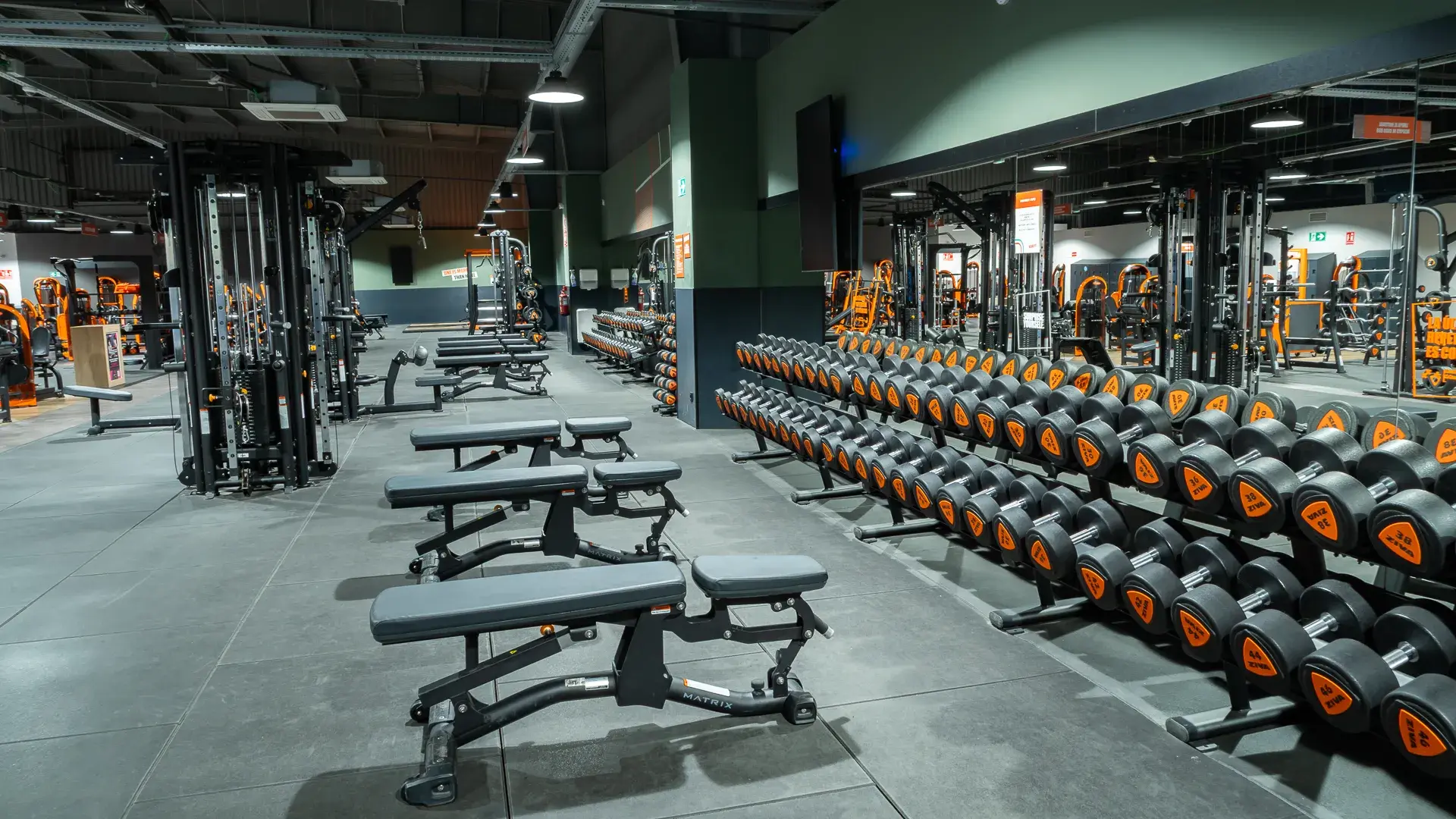 Galería de imágenes