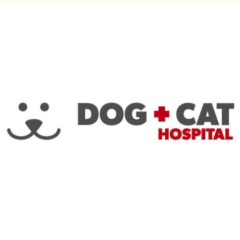 East hill dog & sales cat hospital