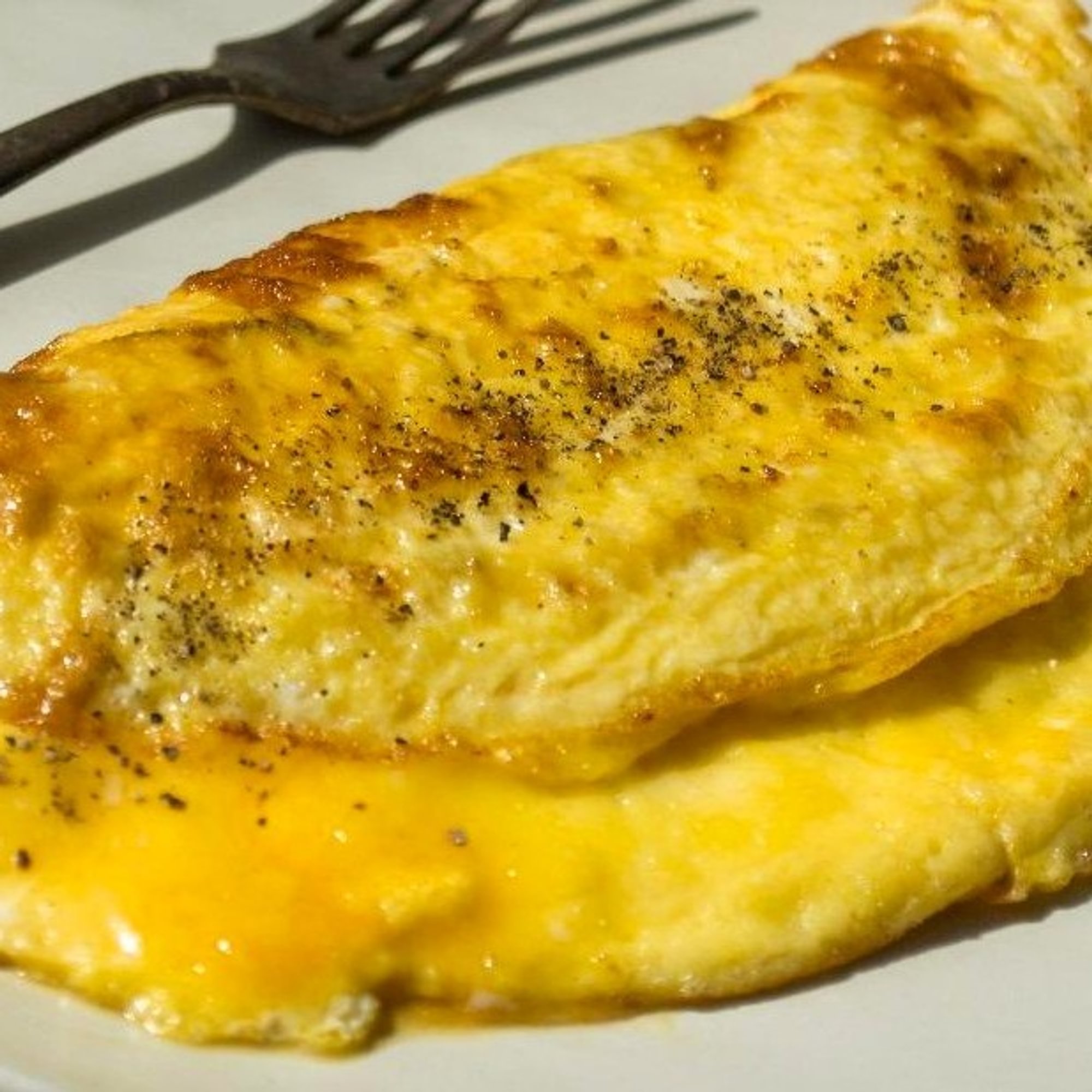 Plain Jane Omelet