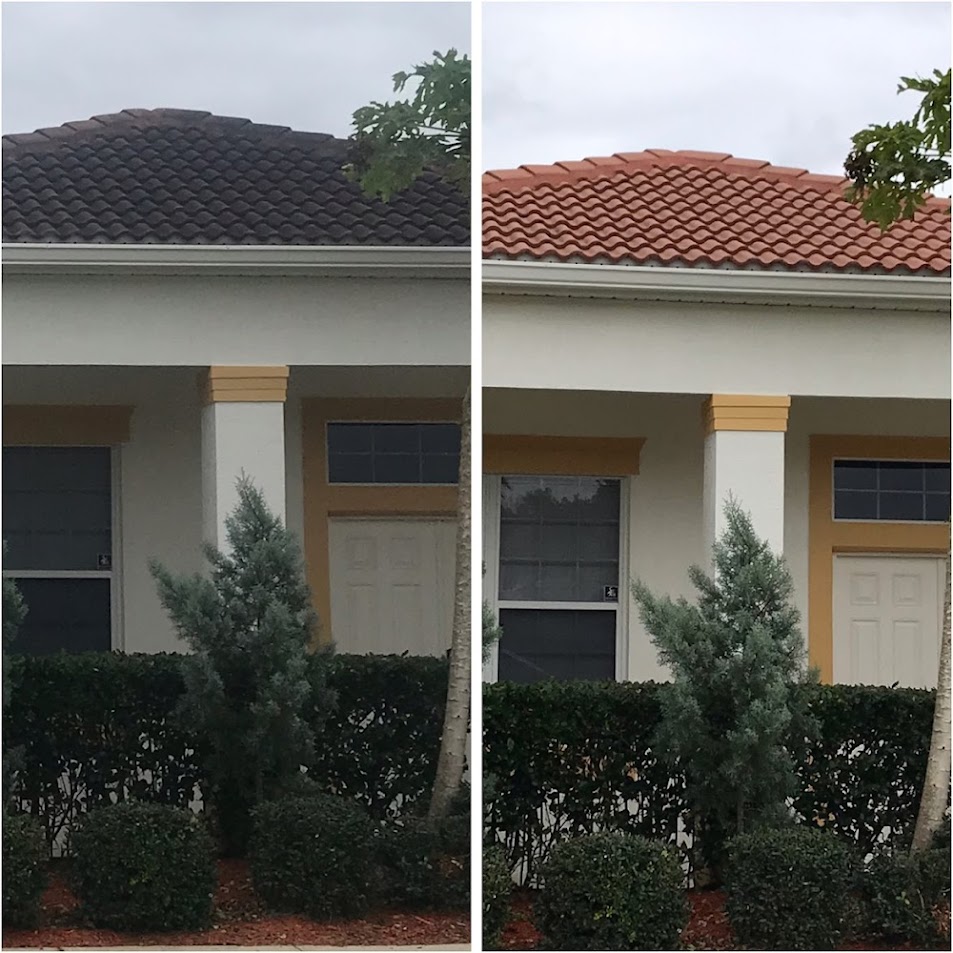 Roof Soft Wash Cleaning