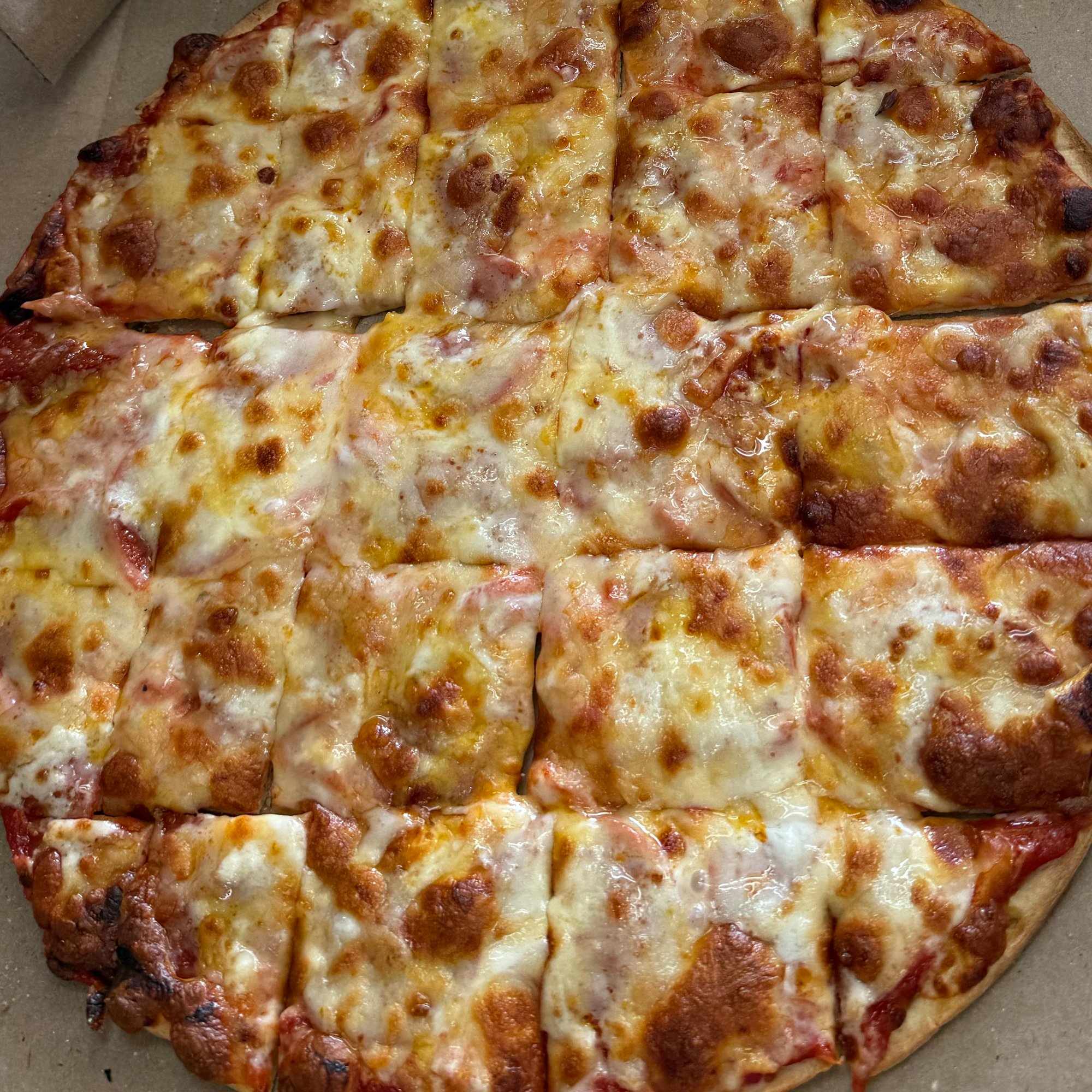 Gluten Free Cheese Pizza