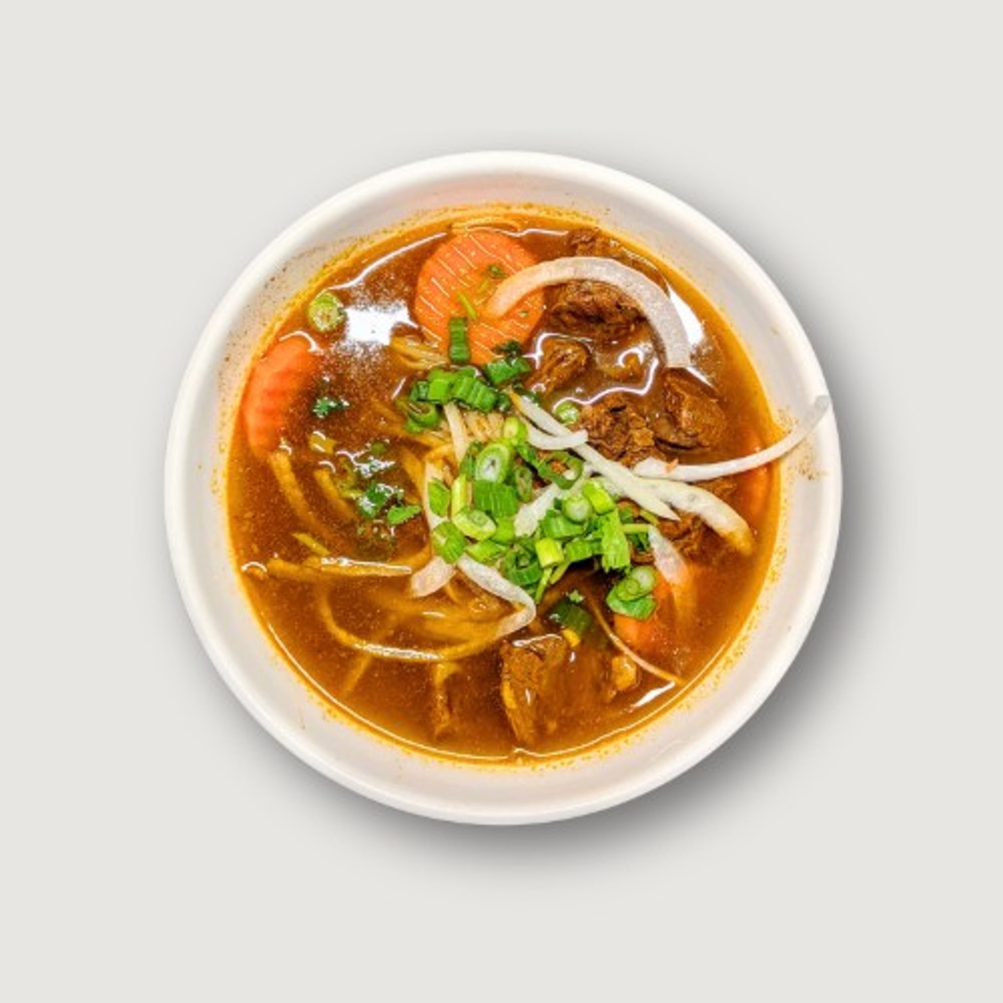 Beef Stew Noodles