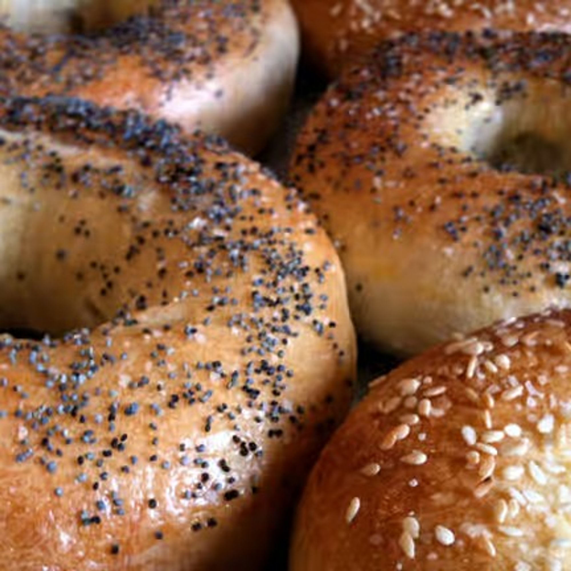 Individual bagels