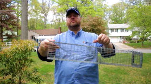 NJ Pest Control Image