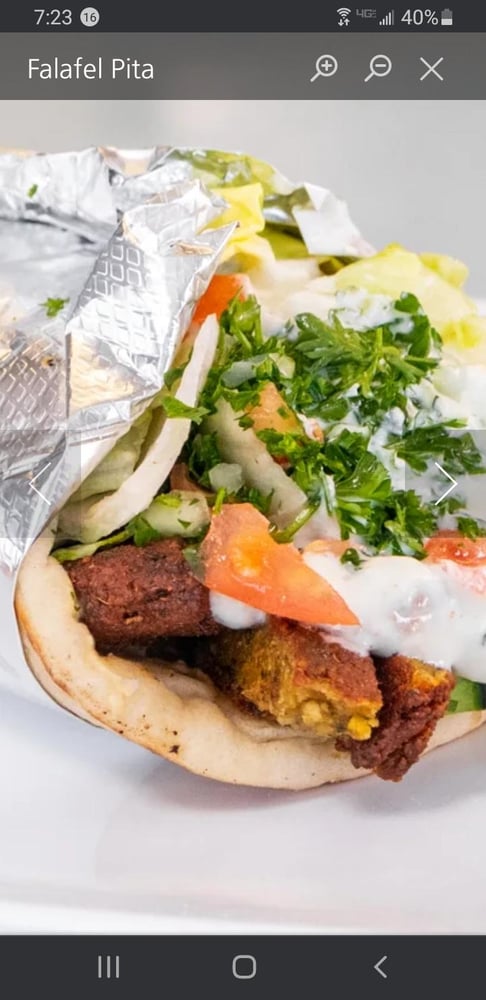 Falafel Pita