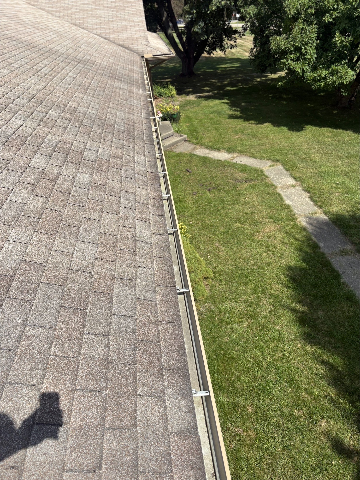 The Roof Cleaner Image