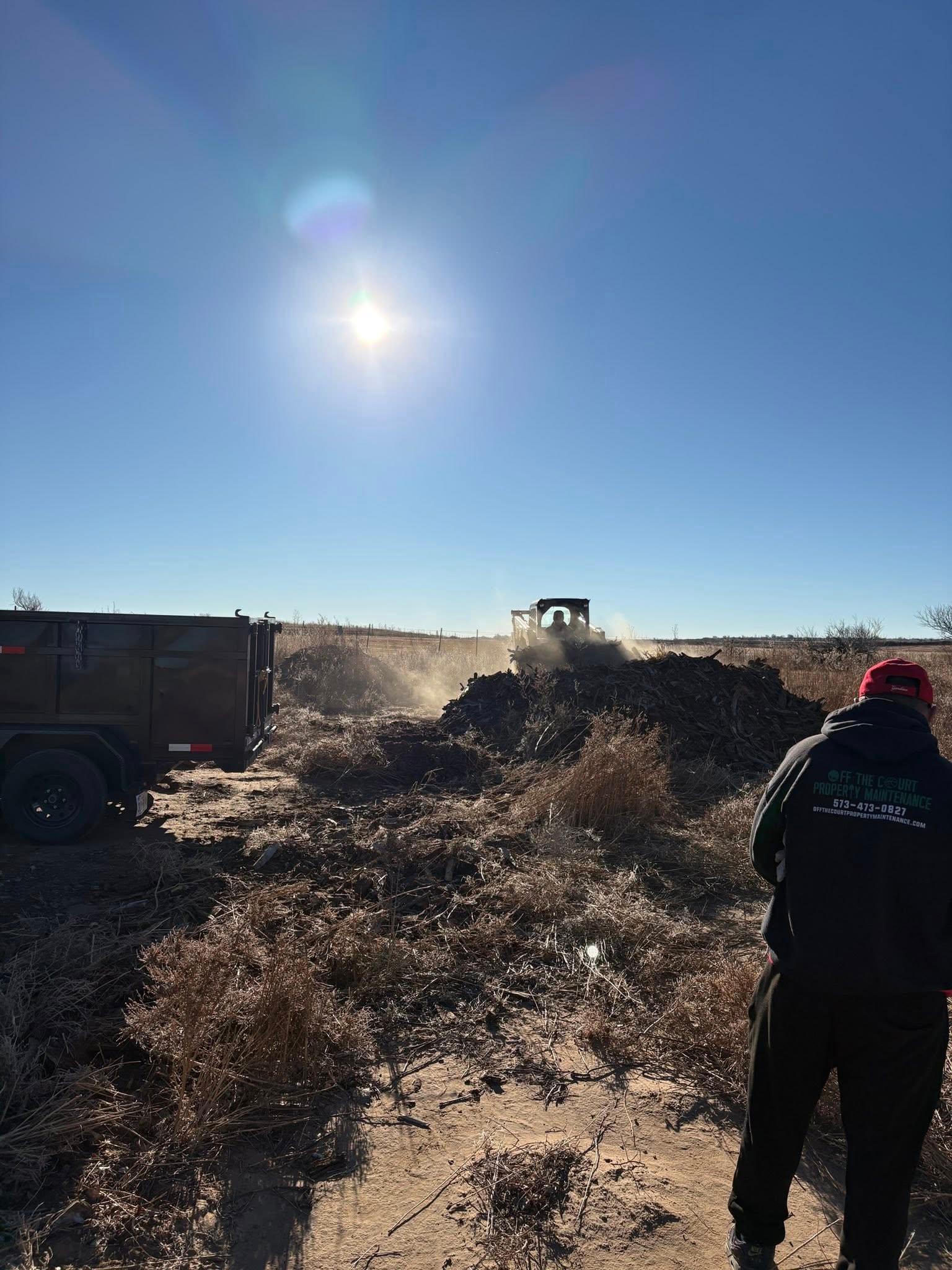 Off The Court Property Maintenance (DBA Amarillo Tree Removal) Image