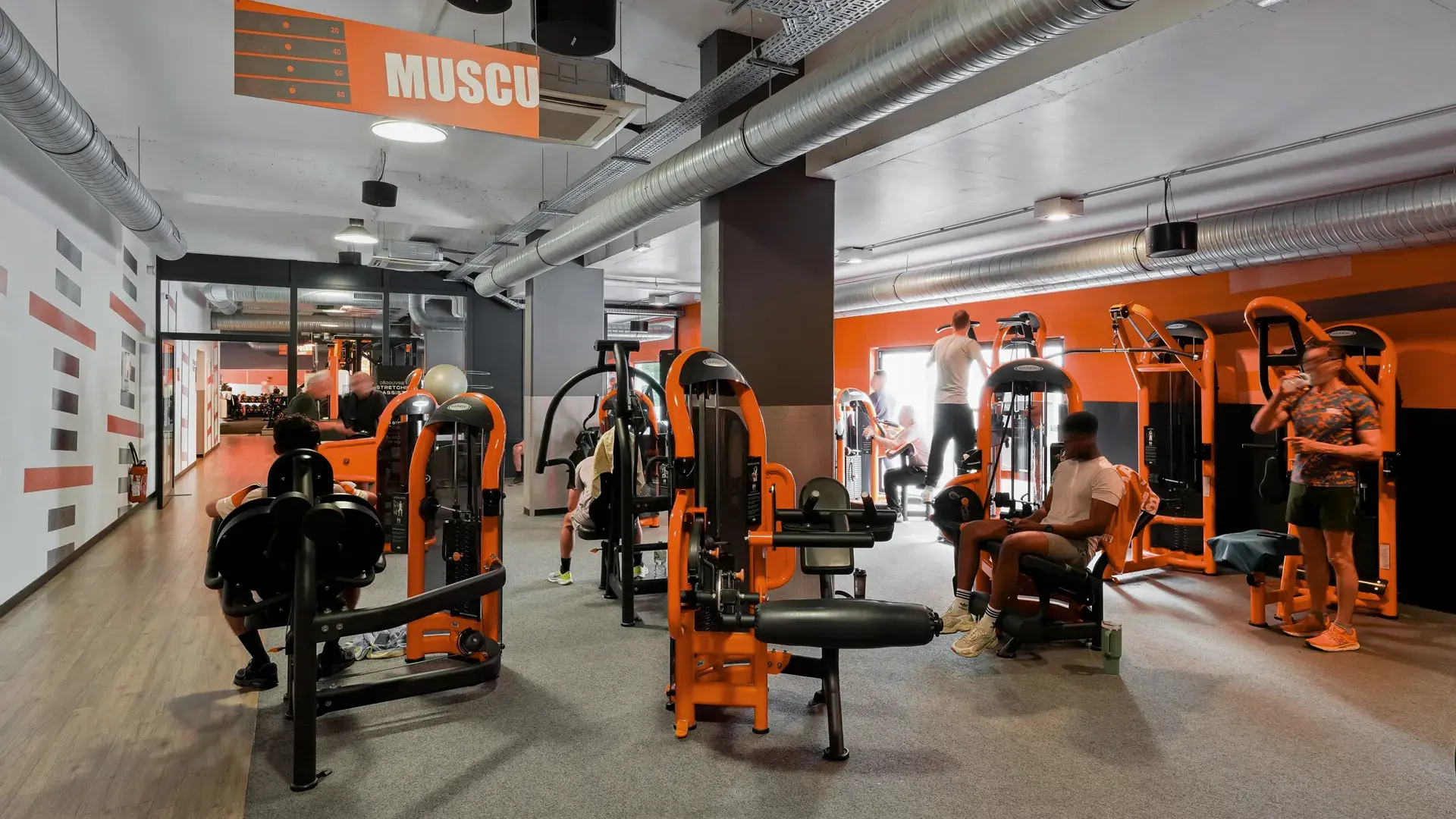 Miniature de la galerie