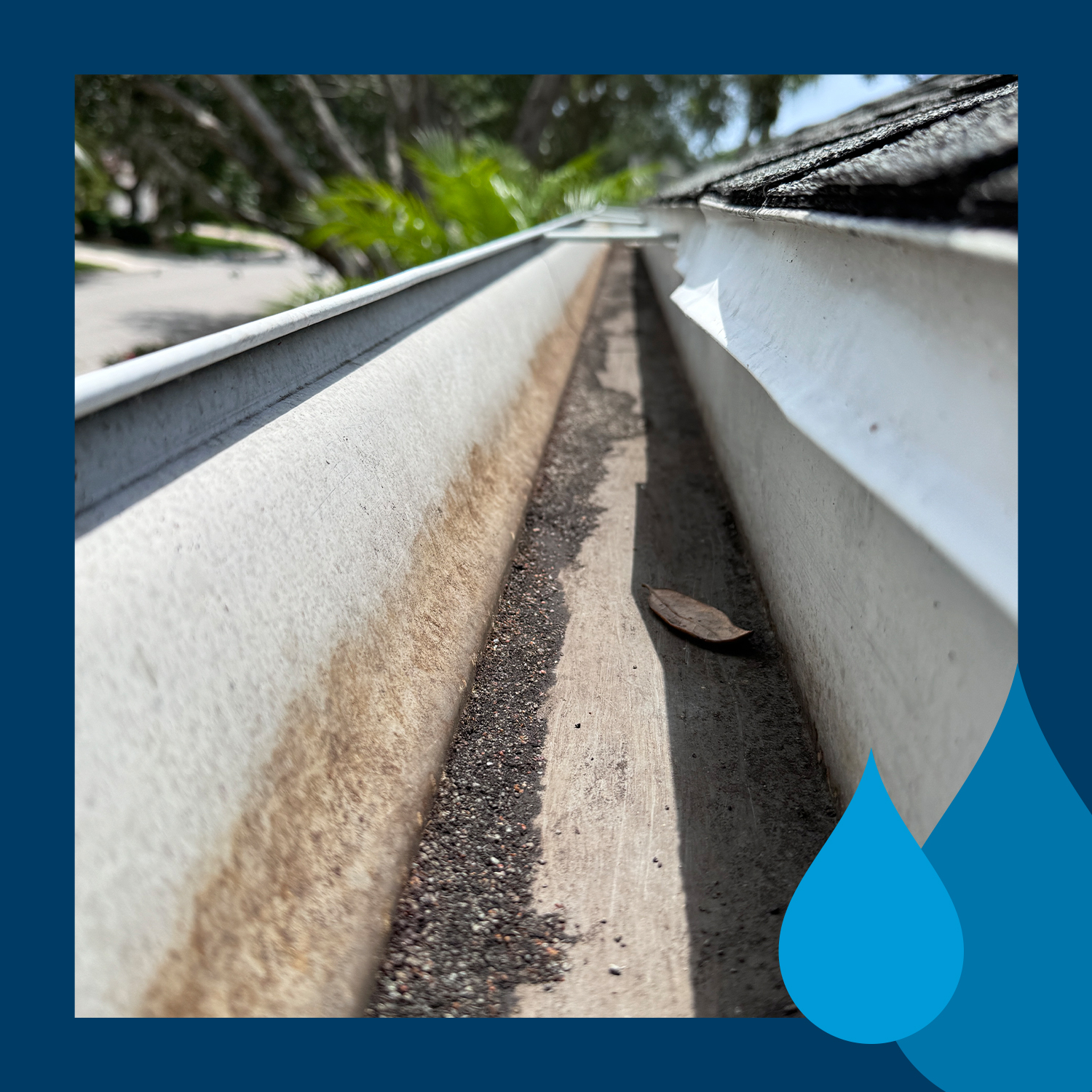 Window Hero Charlotte Image