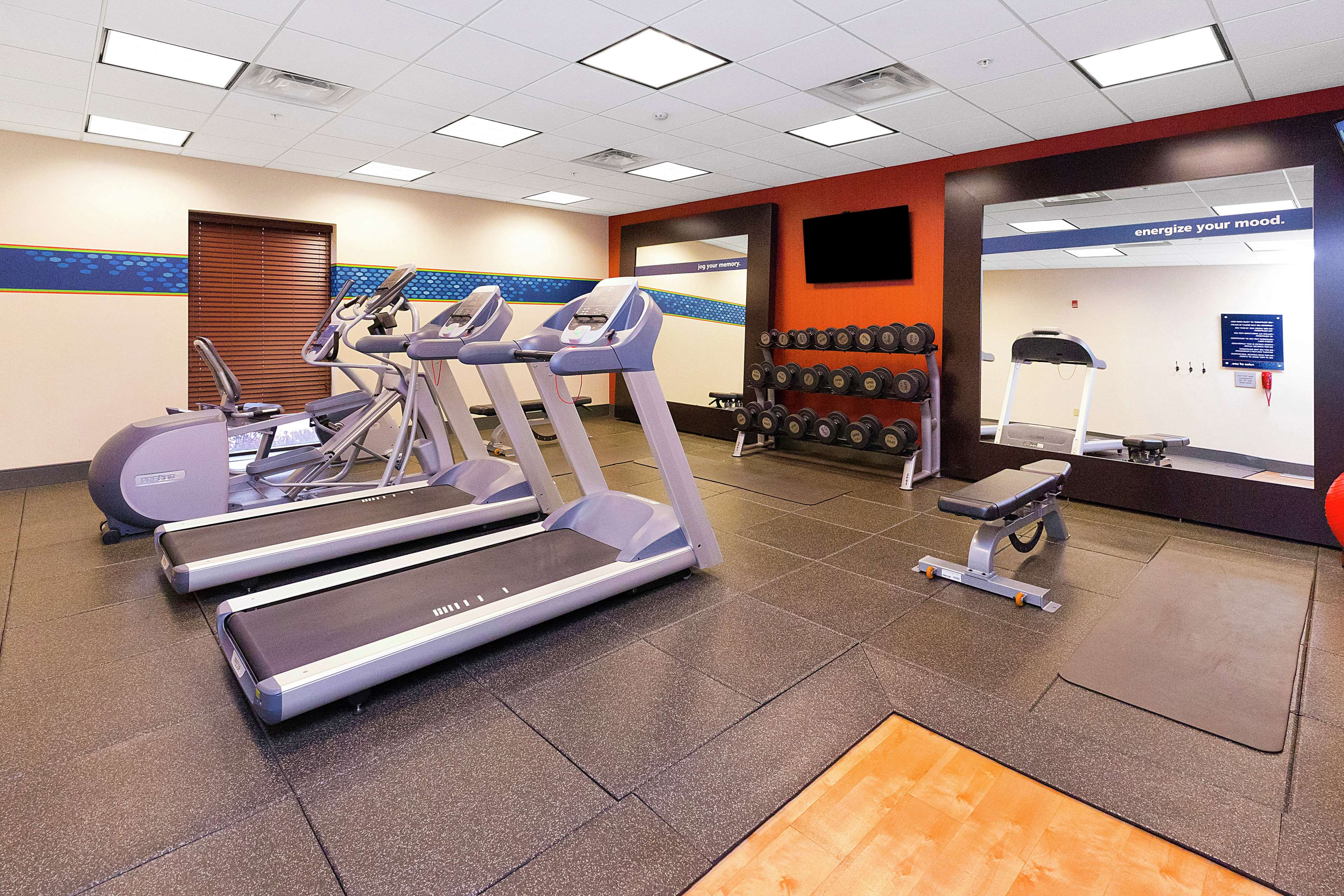 Health club  fitness center  gym