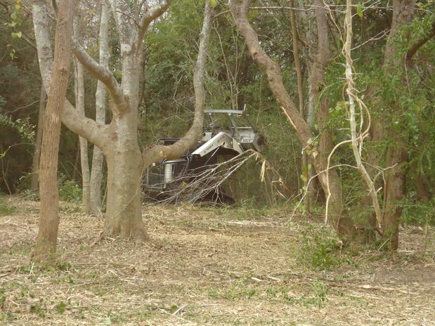 Images GHR Tractor Mowing & Land Clearing