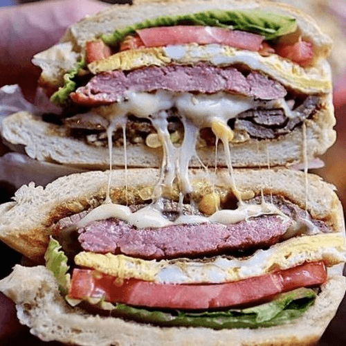 X Tudo Burger