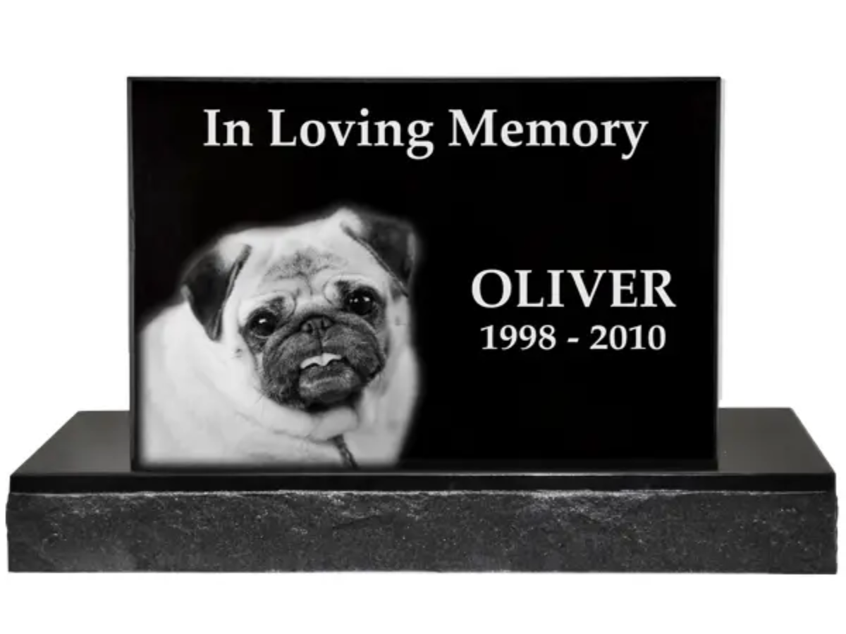 Pet Burial Services