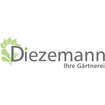 Logo von Blumen - Diezemann