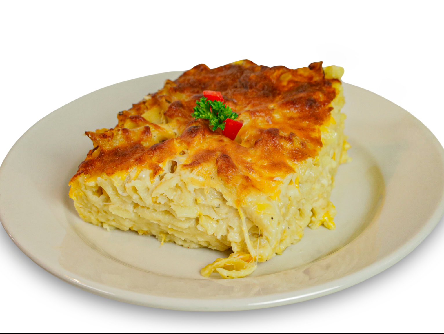 Lg. Macaroni With Meat