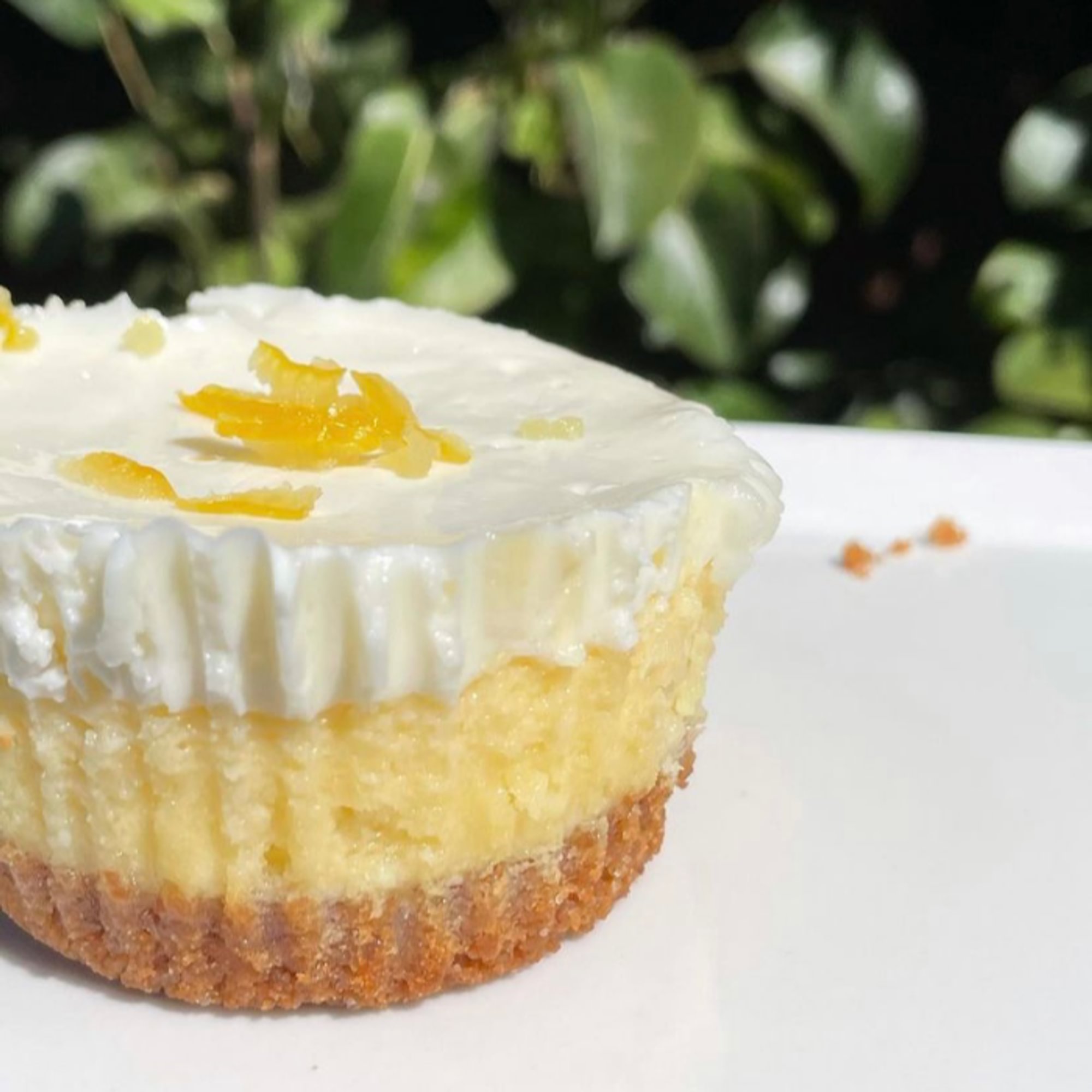 Yuzu Cheesecake (Contains Gluten)