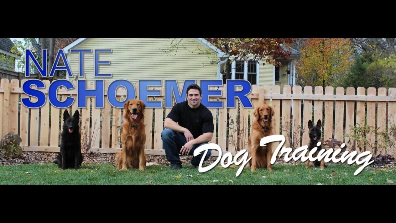 Nate Schoemer Dog Training Image