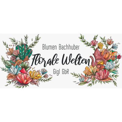 Logo von Blumen Bachhuber