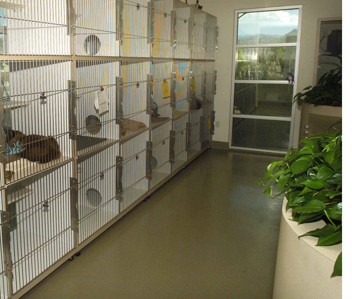 VCA Desert Animal Hospital Photo