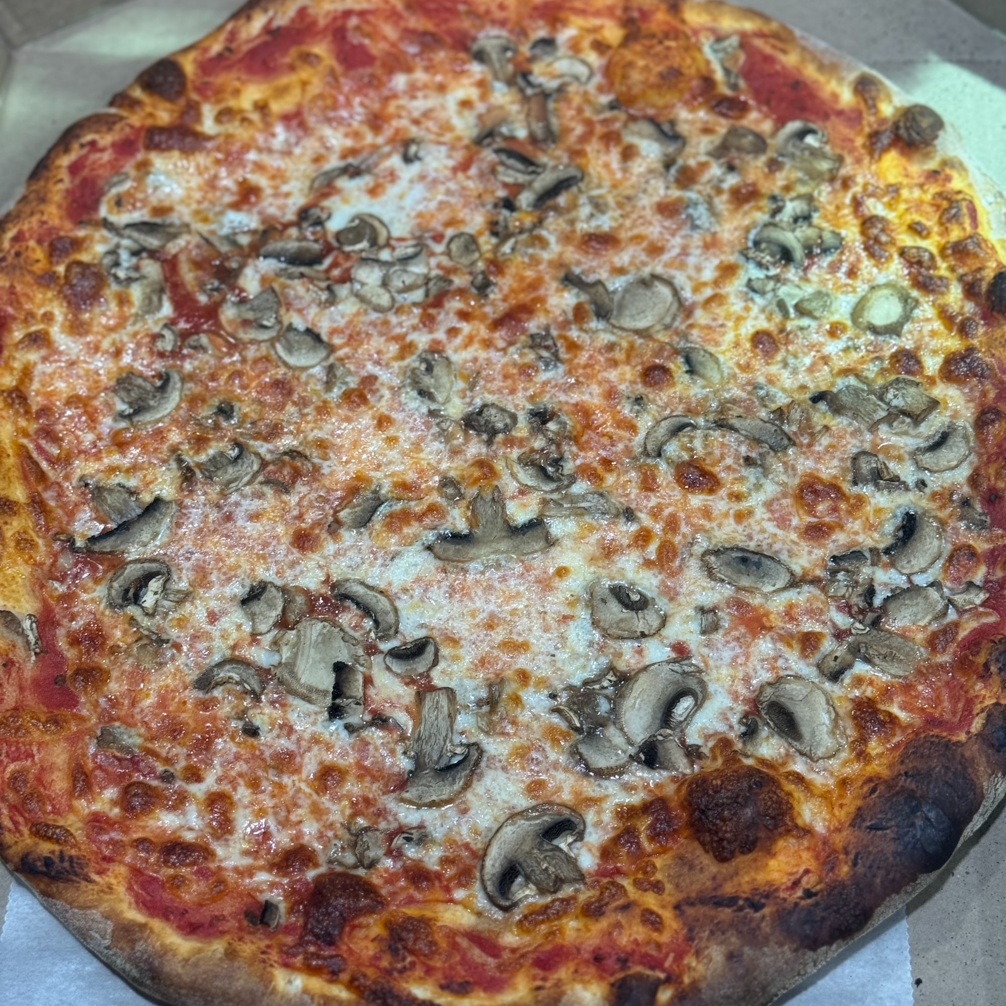 Mushroom Pizza