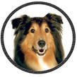 Rusty's Discount Pet Center Logo