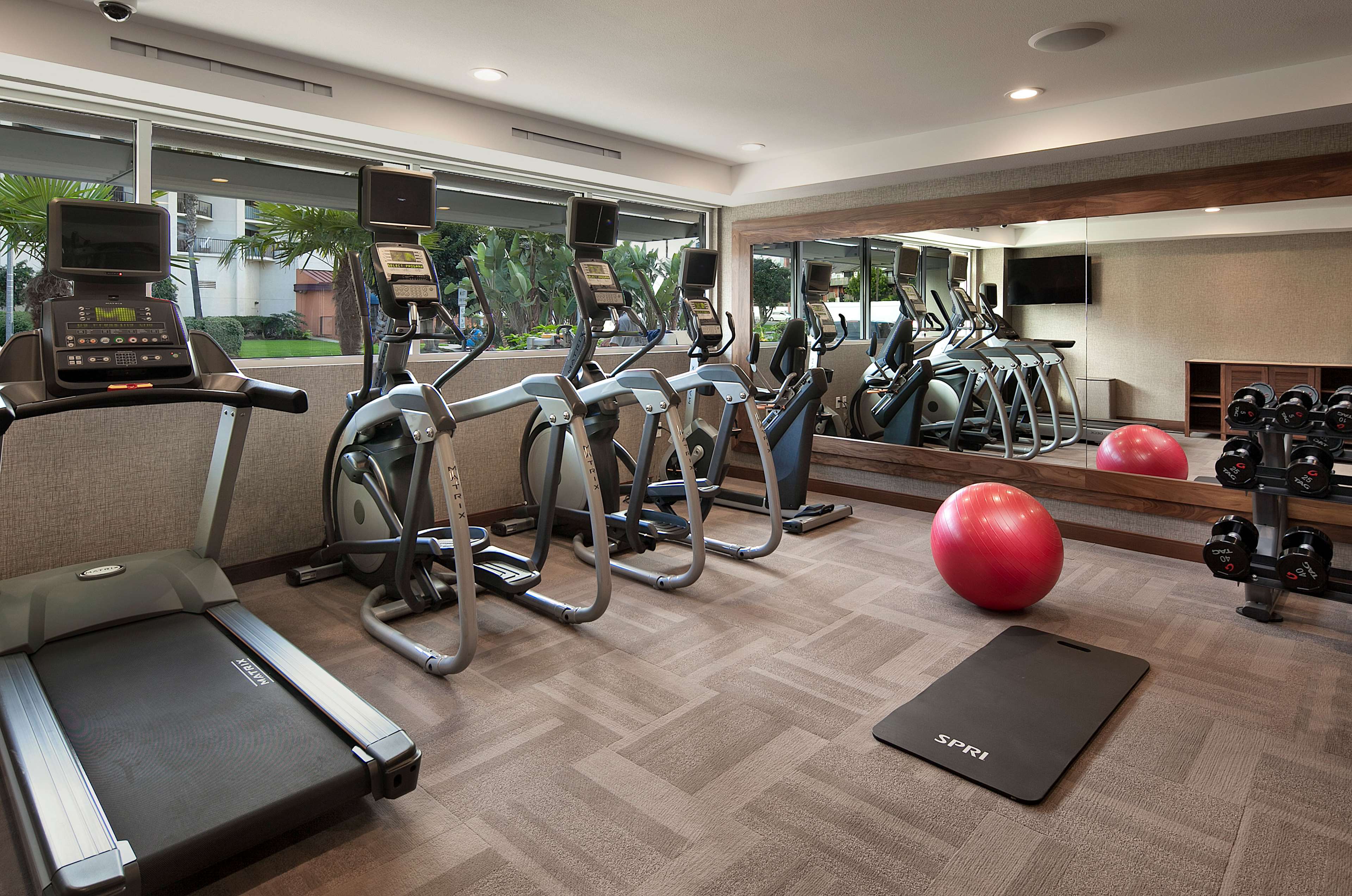 Health club  fitness center  gym