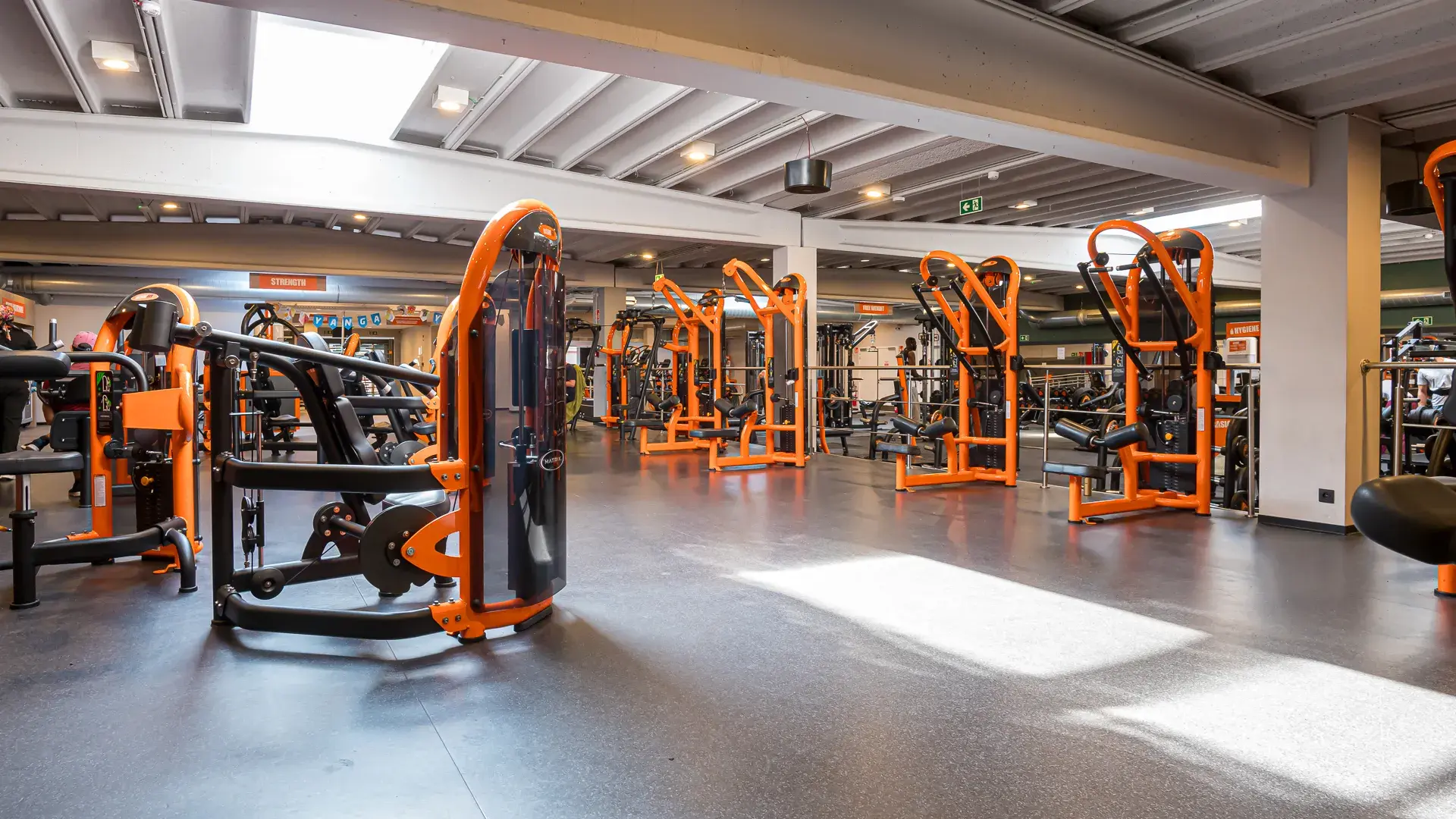 Miniature de la galerie