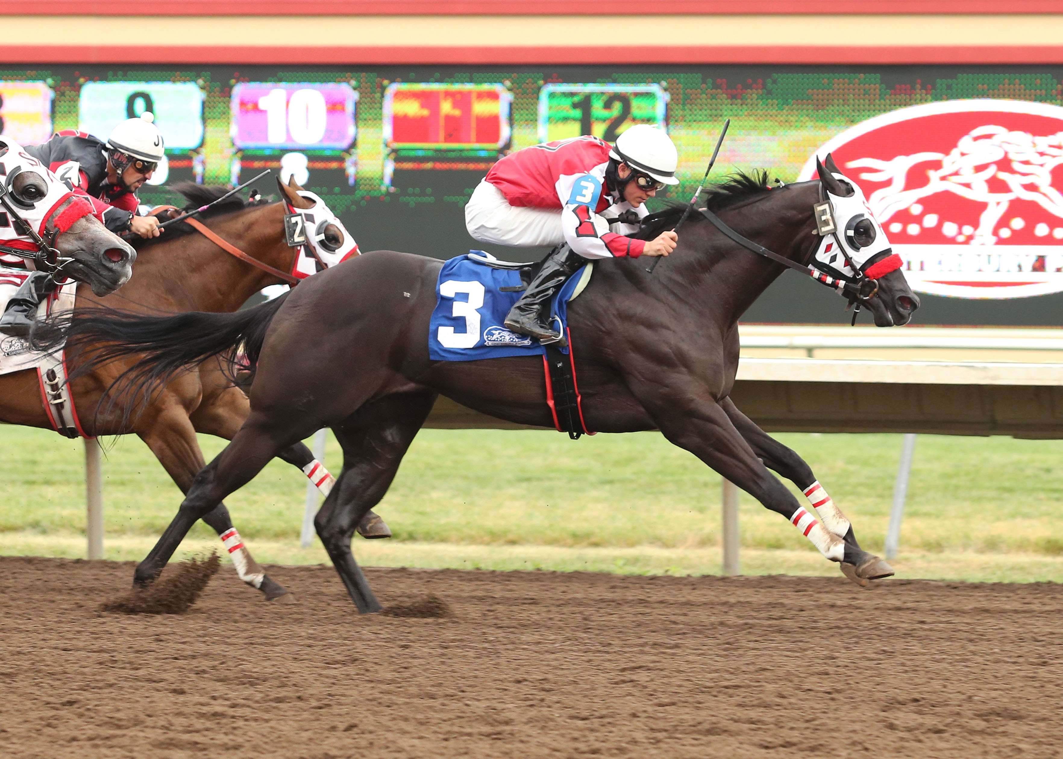 Canterbury Park