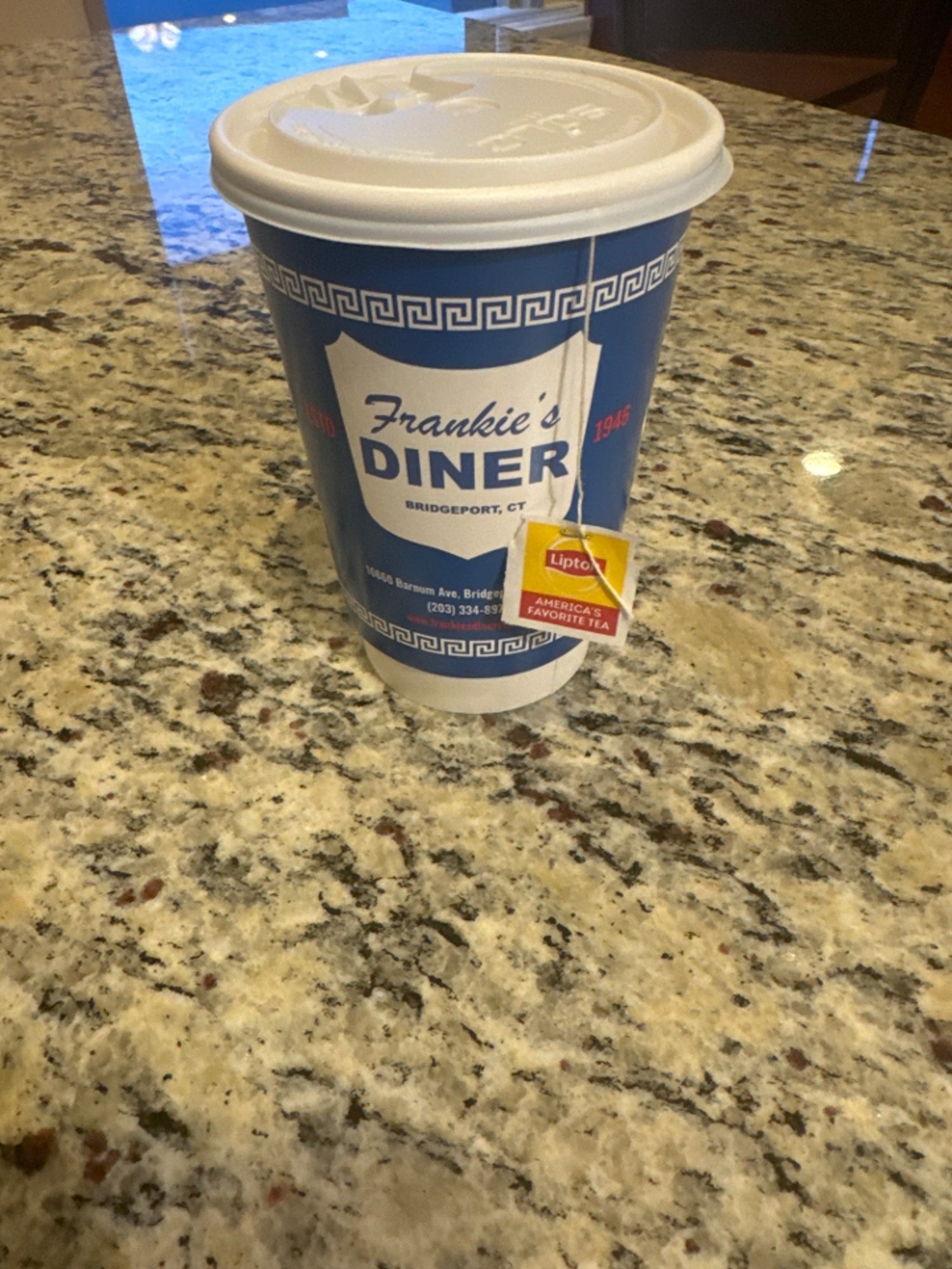 Tea Togo 16oz