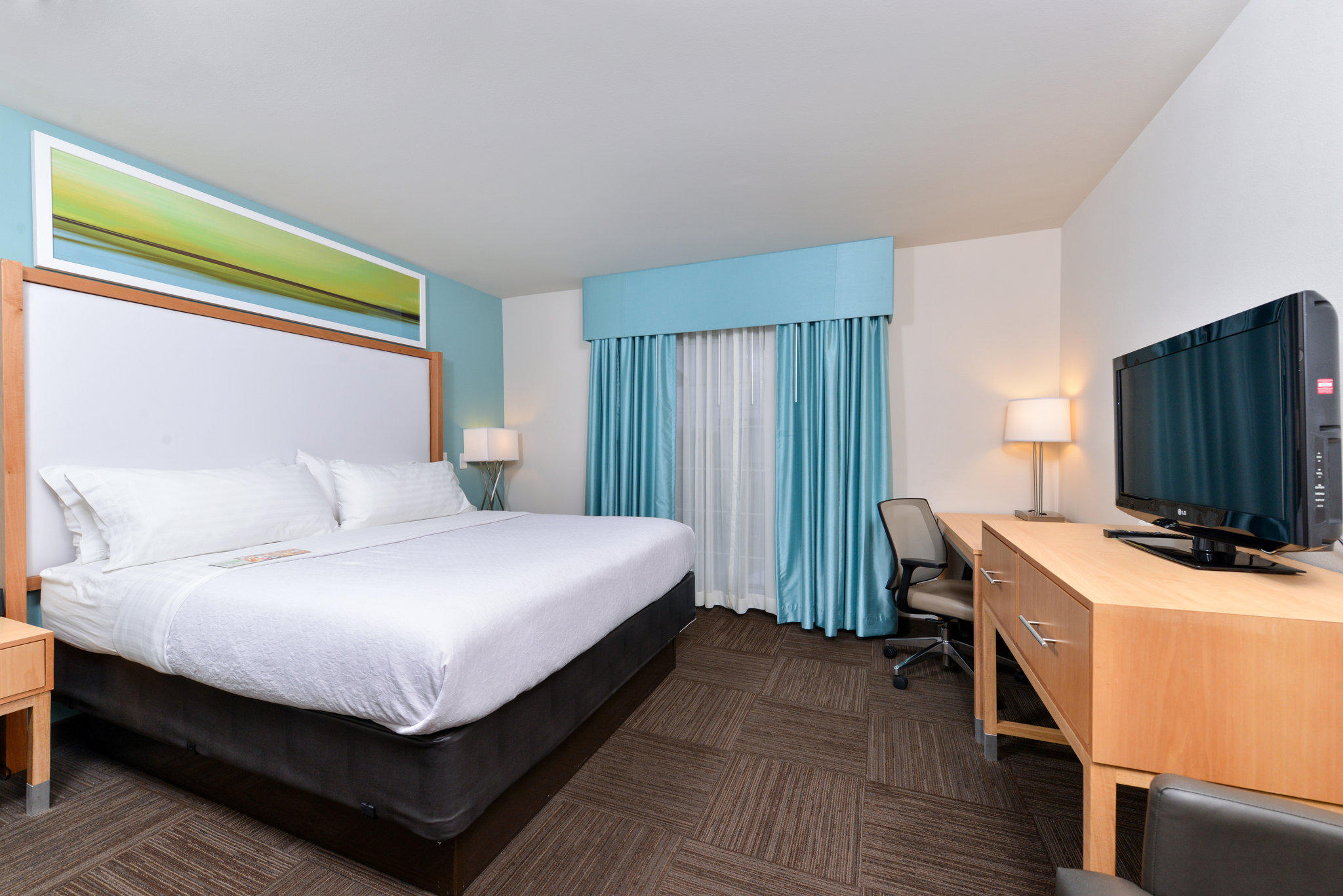 Holiday Inn & Suites Tampa N - Busch Gardens Area Photo