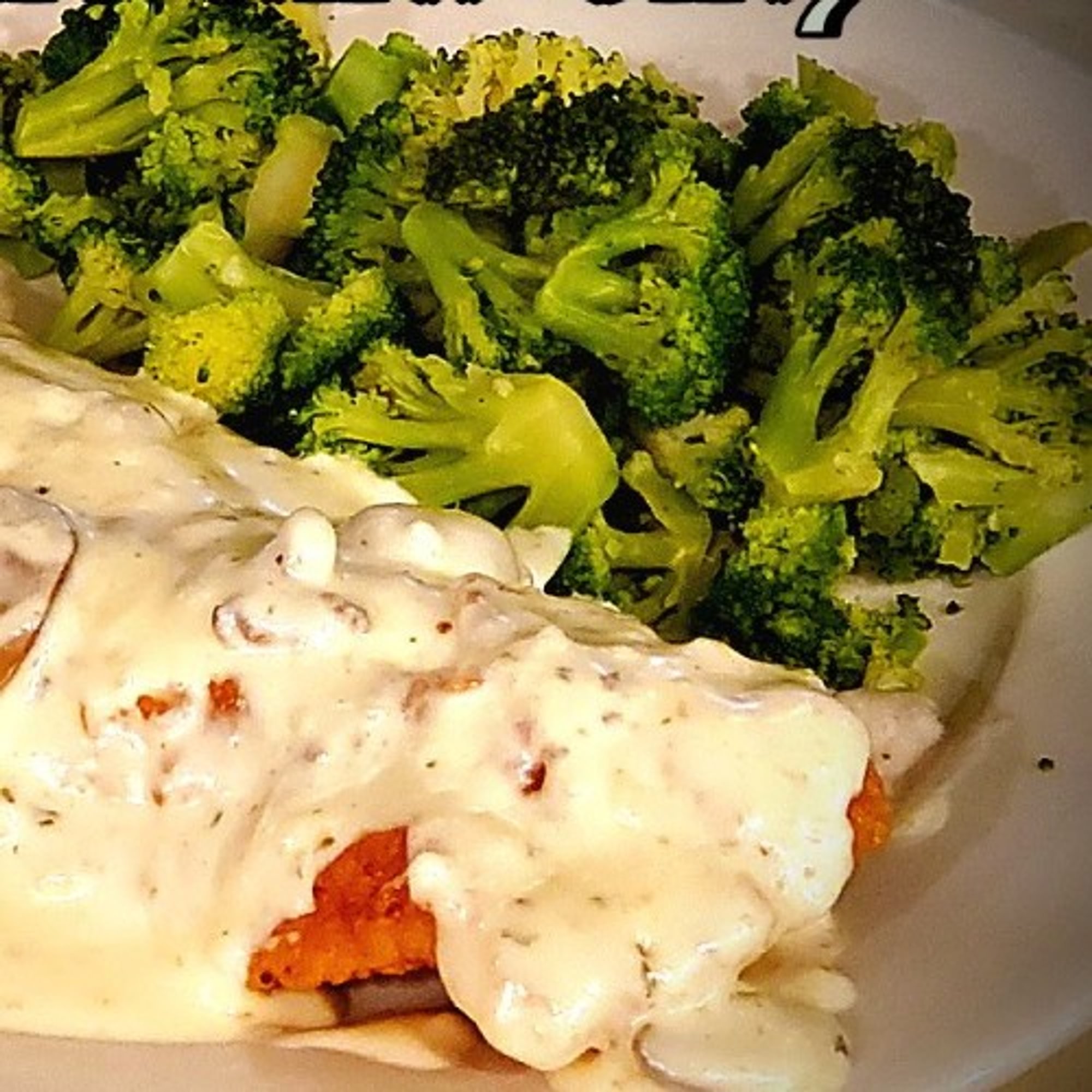 Mediterranean Grouper