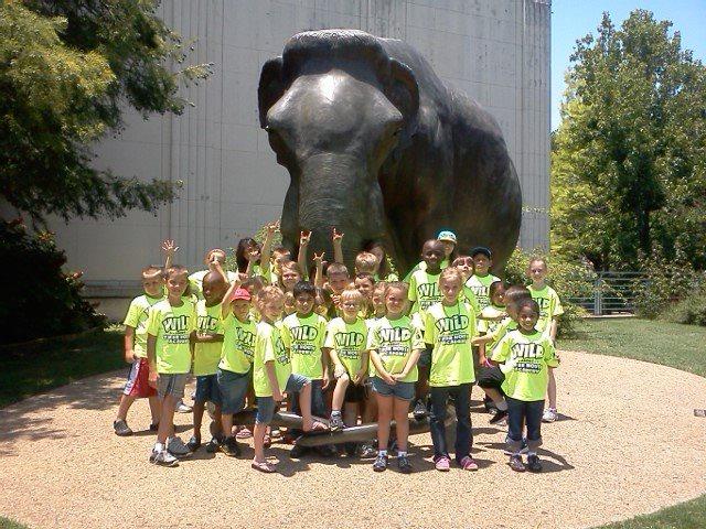 Tree House Academy of Arlington Photo