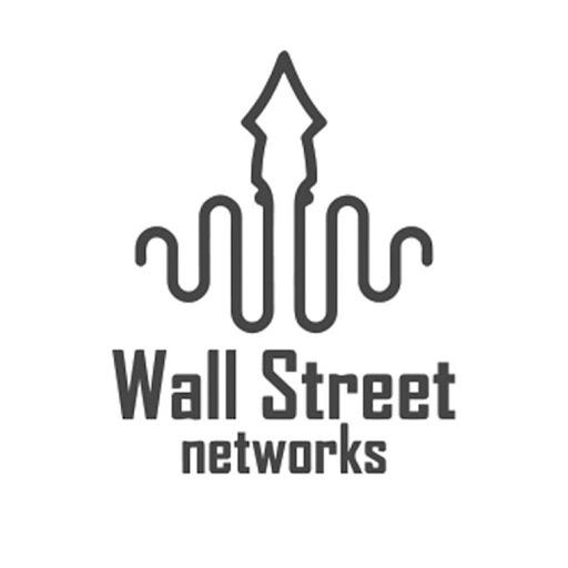 Wall Street Networks Logo