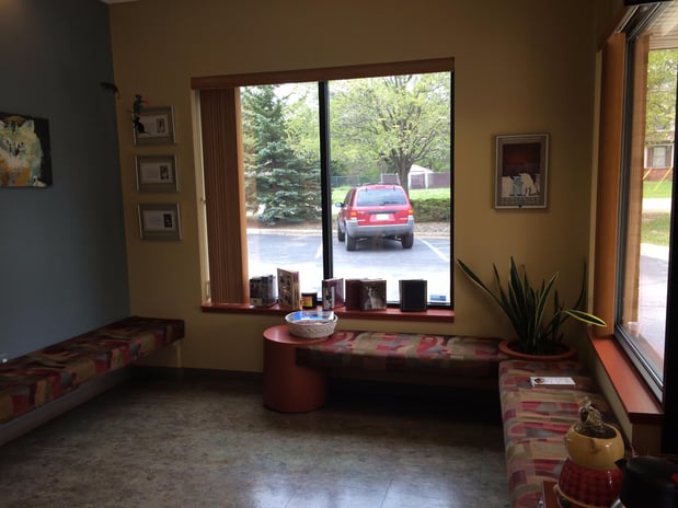 Images Cat Care PC of Rochester Hills