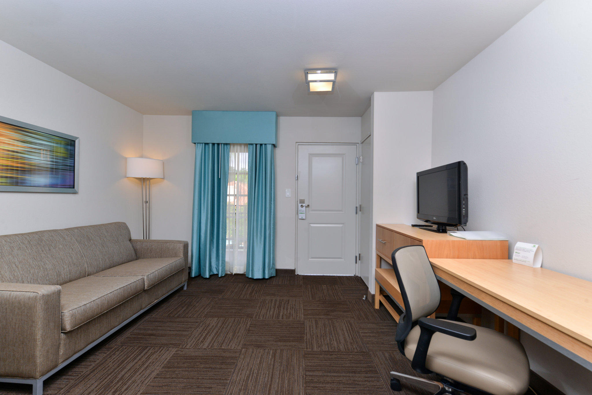 Holiday Inn & Suites Tampa N - Busch Gardens Area Photo