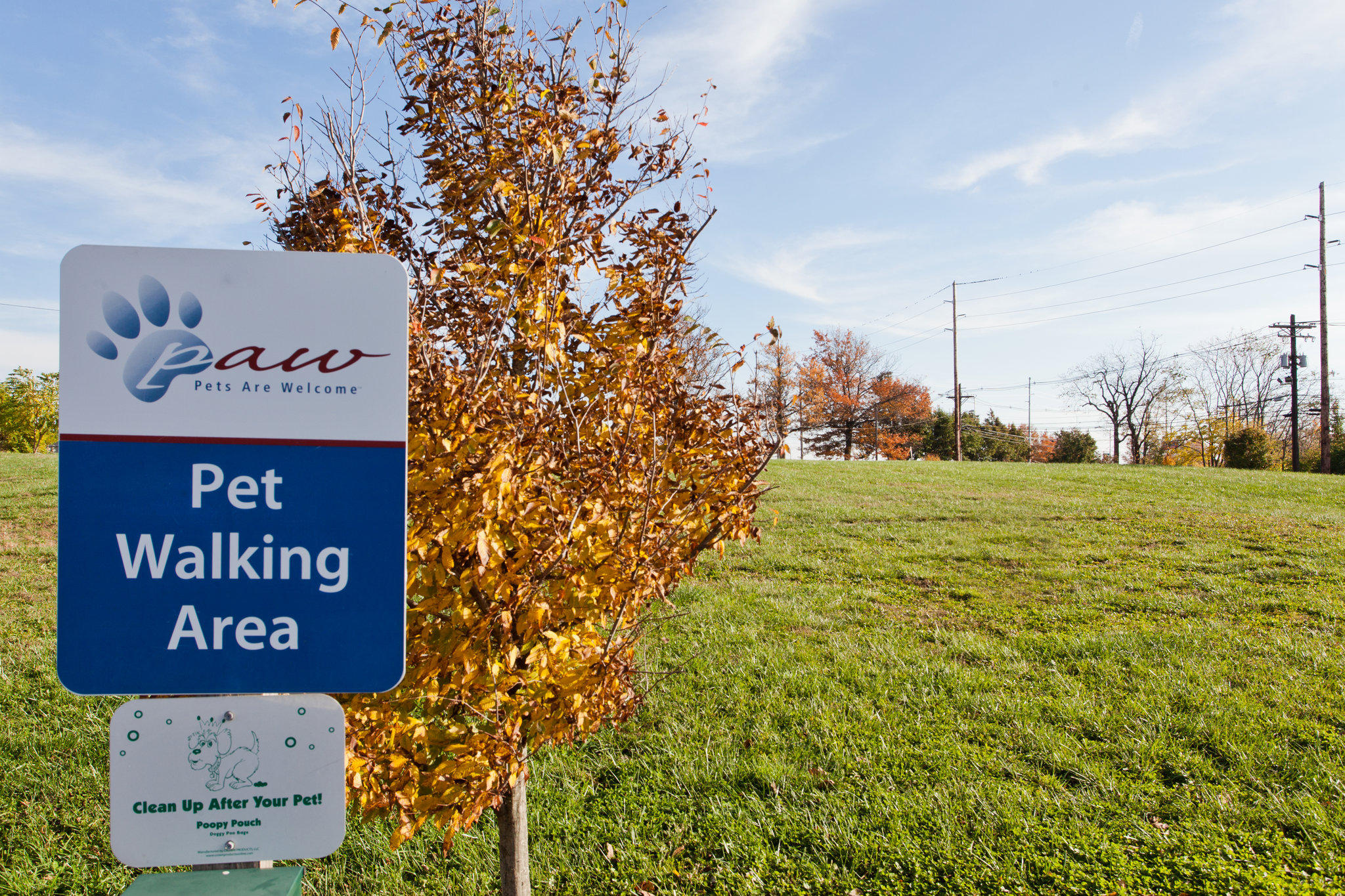 Candlewood Suites Lexington Photo