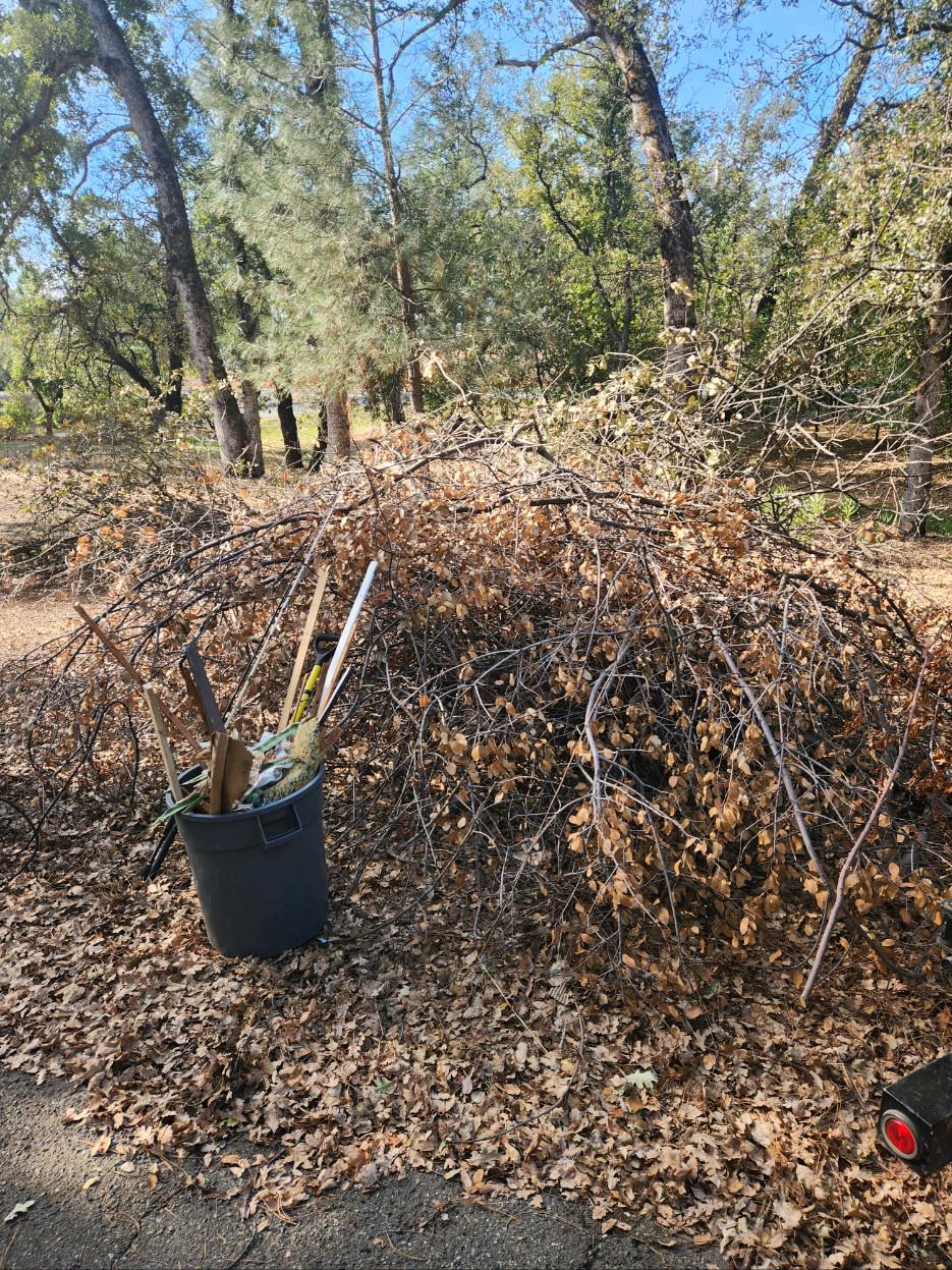 Hedrick Hauling and Junk Removal Image