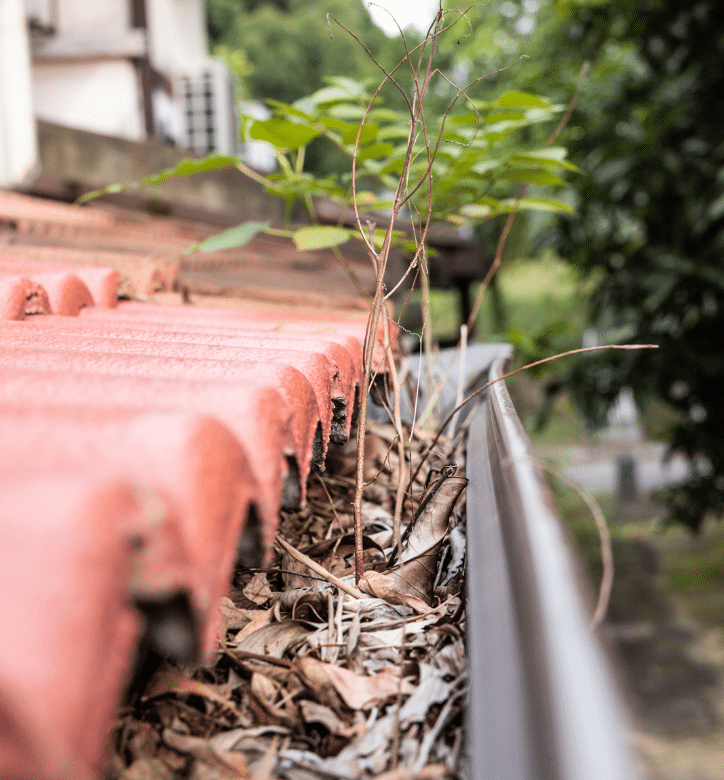Gutter Cleaning & Repair