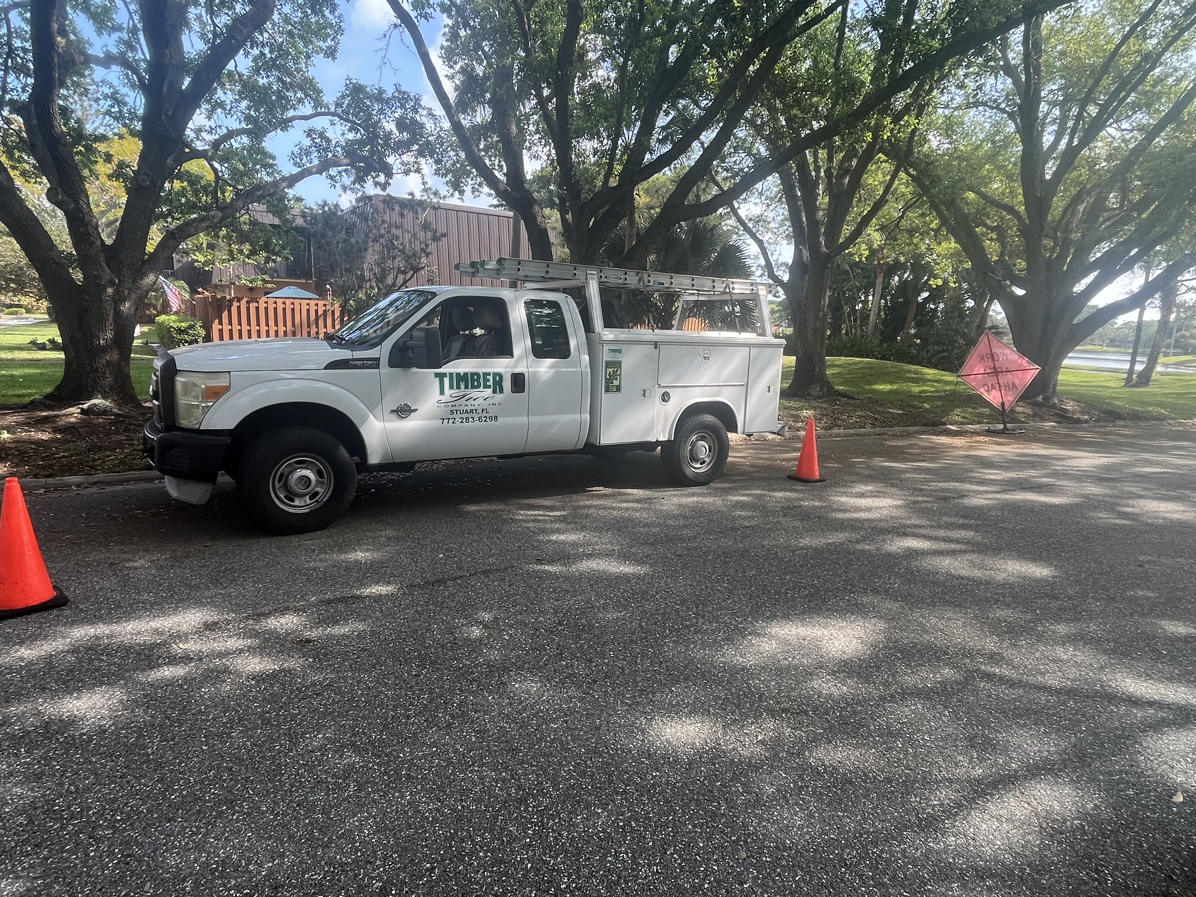 Timber Tree Co Image