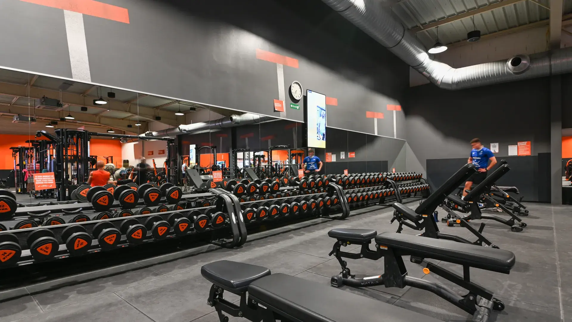 Miniature de la galerie