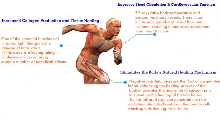 Well Integrative Care Chiropractic, Acupuncture & Rehab - Dr Robert Lee, DC, L.Ac Photo