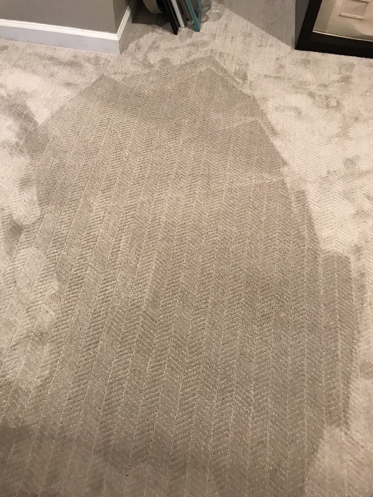 Veteran Carpet Cleaning Photo